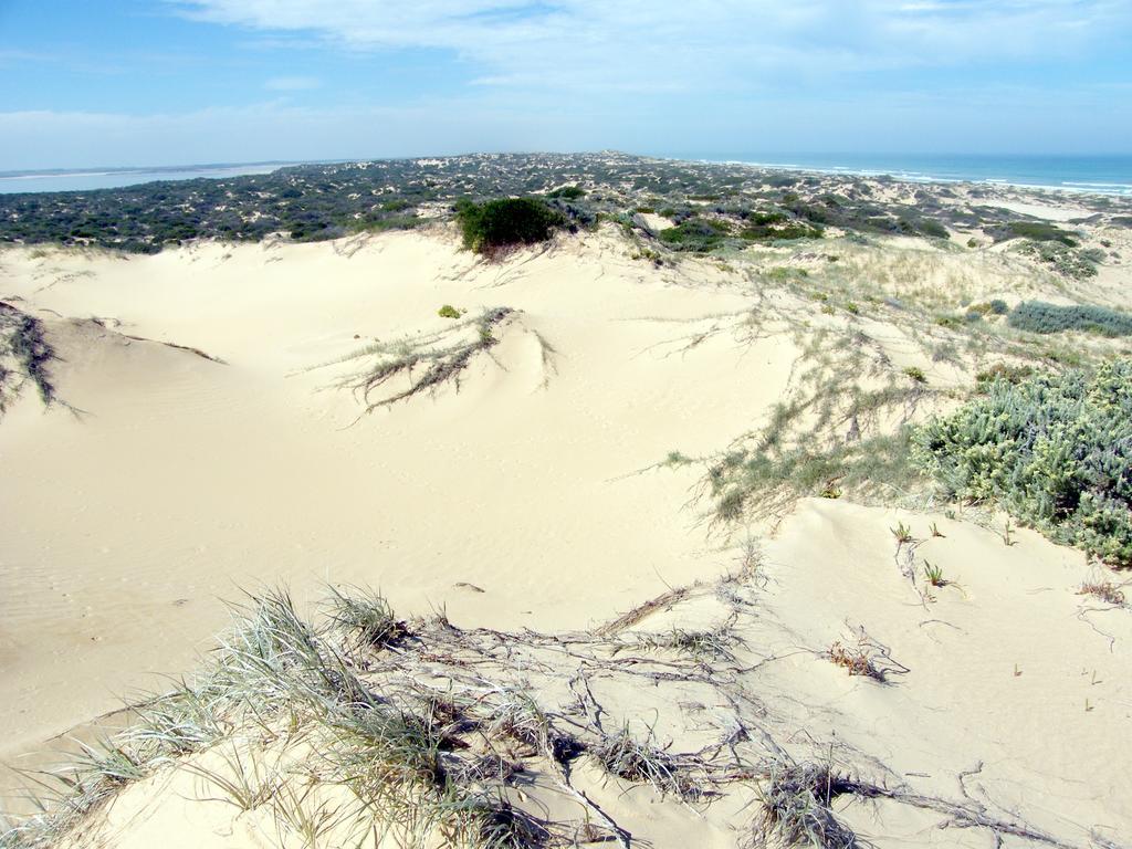 Coorong Waterfront Retreat Villa Meningie Eksteriør billede
